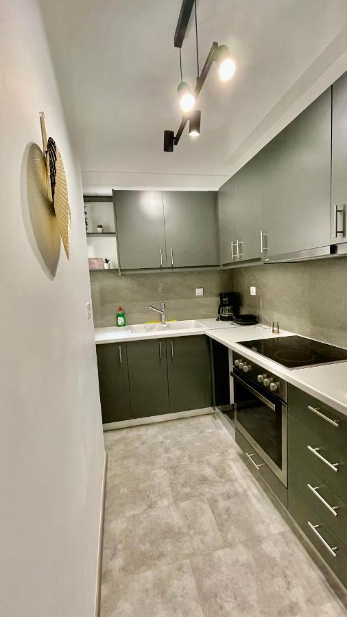 Gorgeous Renovated Apt. Close To Metro And Cultural Sites! Athene Buitenkant foto